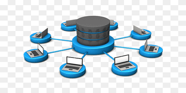 https://www.edutec.it.com/Database & Automation System (Server-Side)